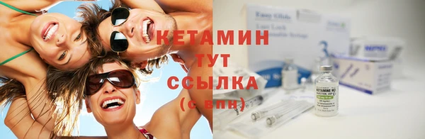 индика Володарск