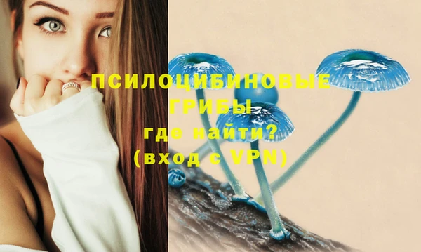 гидропоника Верея