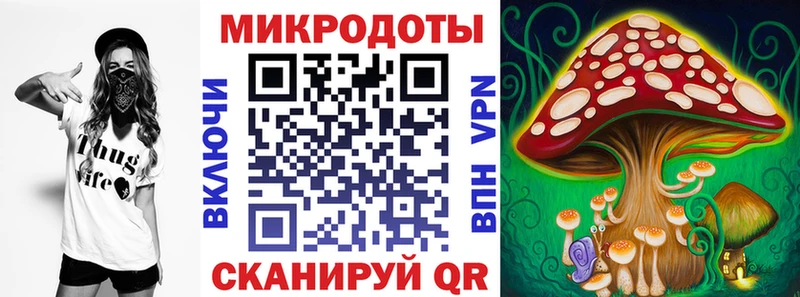 Псилоцибиновые грибы Psilocybine cubensis  Купить где  Горбатов 